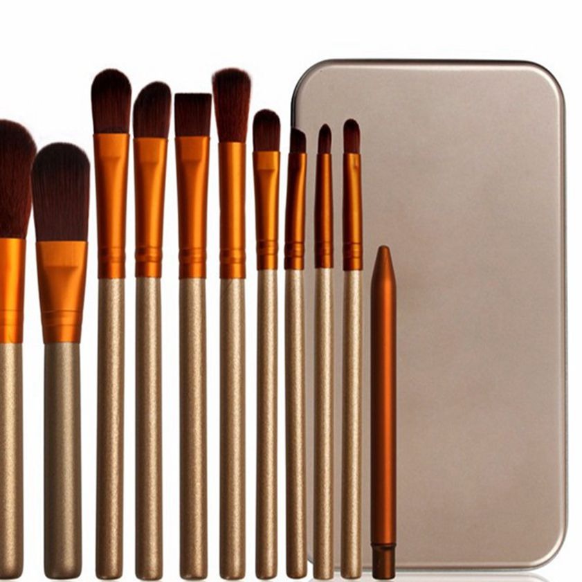 Makeup Brushes Set Eye Shadow Lip Gloss Eye Makeup Portable Beauty Tools (12pcs Aluminium Box)